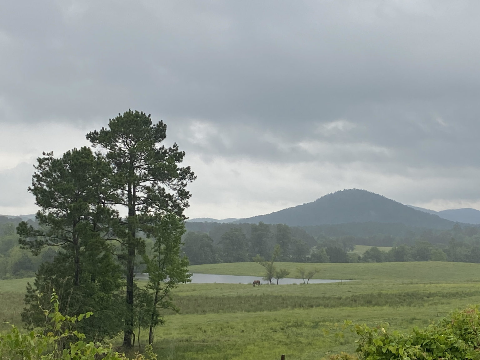 Fowler Auctioneers, Inc. Fowler Auctioneers