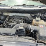 Lot 2 2011 Ford F-150 (17)