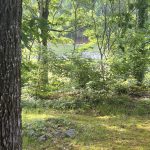 IMG_4459