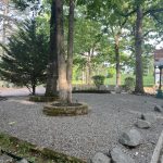 IMG_4535